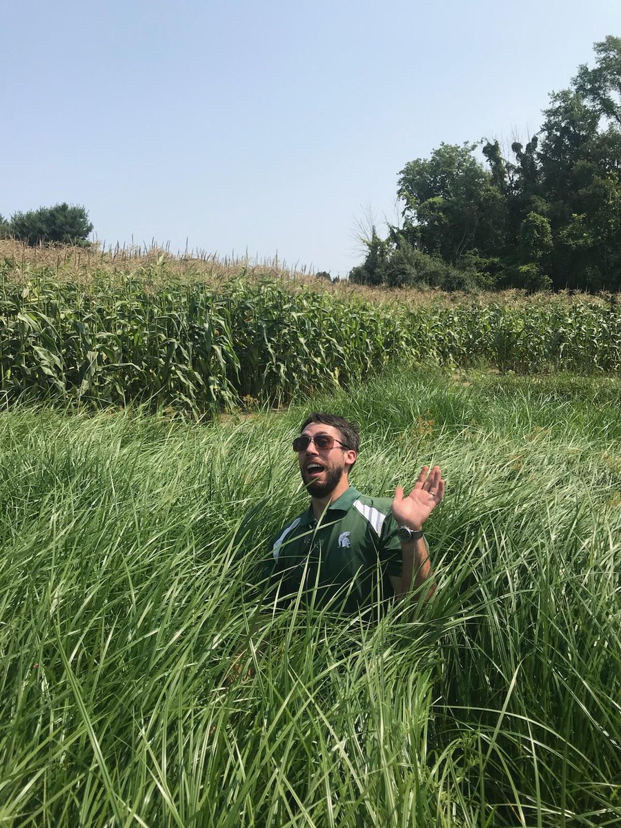 Ben Phillips tweet media