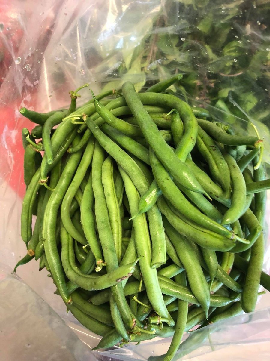 thai_this's tweet photo. We are very excited to announce our new locally owned and locally grown supplier.  Pear Tree Hill Farm, LLC right here in beautiful Radford VIRGINIA.  Take a look at this beautiful Thai Basil, delicious green beans and we will spicing you up with their red chili’s. https://t.co/AIFibn9eDI