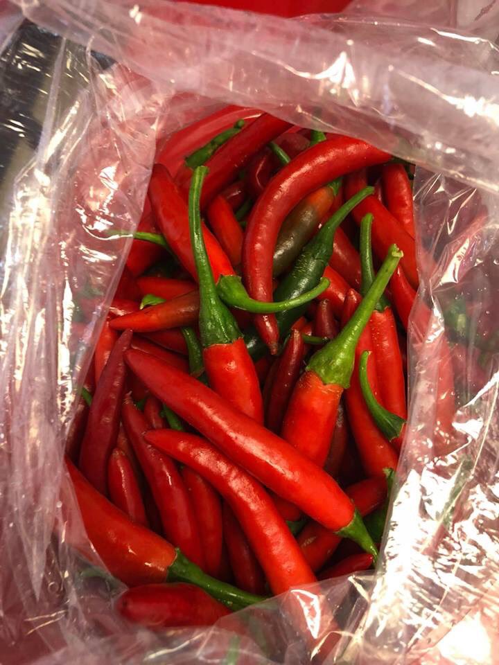 thai_this's tweet photo. We are very excited to announce our new locally owned and locally grown supplier.  Pear Tree Hill Farm, LLC right here in beautiful Radford VIRGINIA.  Take a look at this beautiful Thai Basil, delicious green beans and we will spicing you up with their red chili’s. https://t.co/AIFibn9eDI