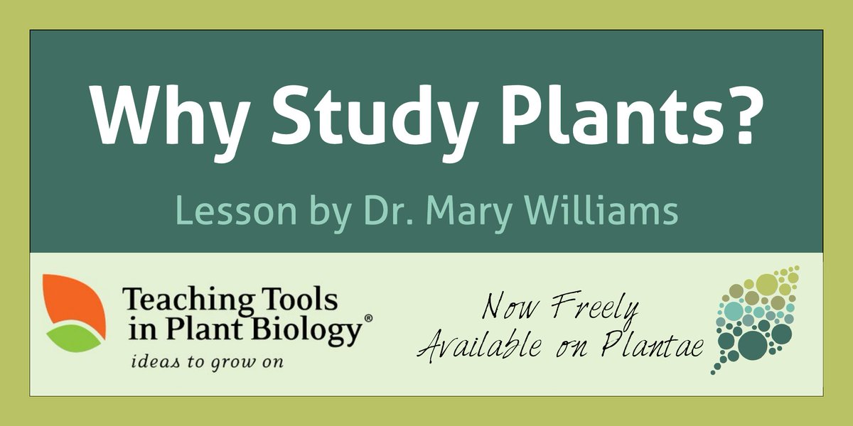 Plantae on Twitter "What do we get from plants? How and why do we