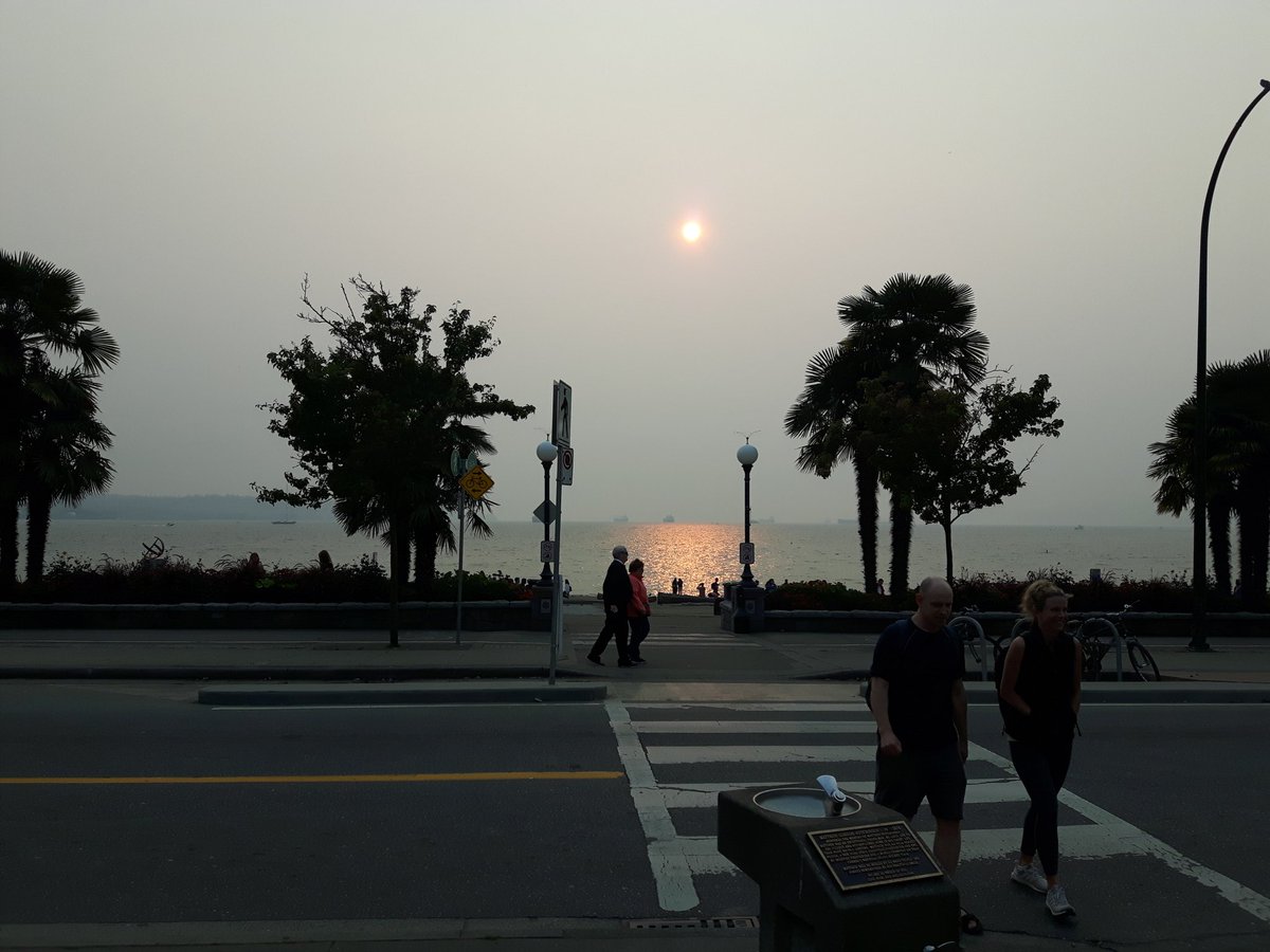 vcinbc's tweet photo. Eerie. All the smoke from distant fires. 
#Vancouver #BCWildfires #bconfire🔥 https://t.co/2kPU1rjEw9