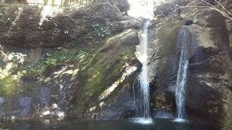 ট ইট র みやっこ君 公式 Lineスタンプ販売中 アモンちゃん に 良い川情報なぁい っておたずねされたから報告 ほたるの里公園のさらに上流に みやこ町が誇る蛇渕キャンプ場があります 水遊びもできるので 今度ぜひ行ってみてね クラゲがいない