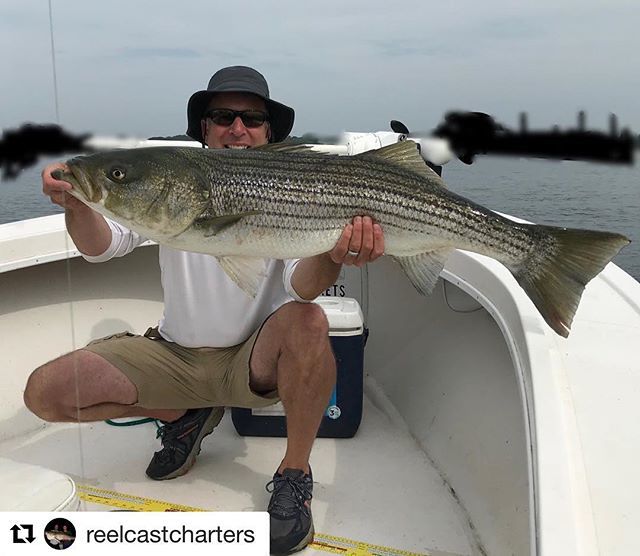 AnglersMusic's tweet photo. Howard hooked up with a clean looking fish. #reelcastcharters #minnkotamotors #minnkota #spotlock #humminbird #humminbirdfishing #humminbirdelectronics #MEGAimaging #stormrusa #fishshimano #suzukimarine #lighttacklefishing #stripedbassfishing #saltlife … https://t.co/G1oJwJHf7r https://t.co/qaponR0Zqk