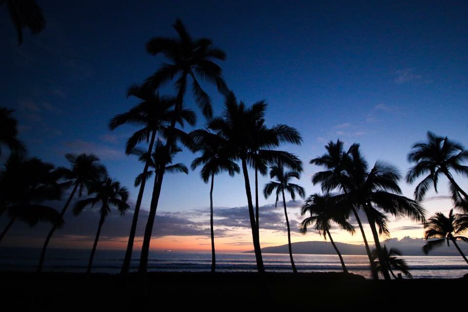 ILoveHawaiiVR's tweet photo. Here today, gone to Maui!
Who has plans to visit soon?
#MauiSunset #VisitMaui #LuxuryVacay #ilovehawaii #AlohaSunset https://t.co/sTvTyKt3Xz https://t.co/b9k8qoAOFp