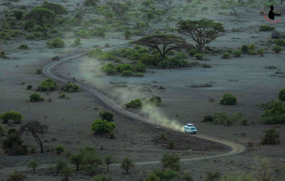 #SafariQuote of the day: 
“Stop worrying about the potholes in the road and enjoy the journey.”  🙂🙂
#TravelTuesday #offthebeatentracks #DiscoverKWSParks #MagicalKenya #TembeaKenya #TreasureKenya #TwendeAmboseli #AmboseliNationalPark