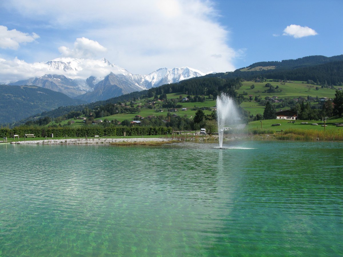 Se baigner au milieu des nénuphars 🌸dans une #eau limpide 😍 c'est au plan d'eau biotope de #Combloux 😊 en #HauteSavoie #MagnifiqueFrance