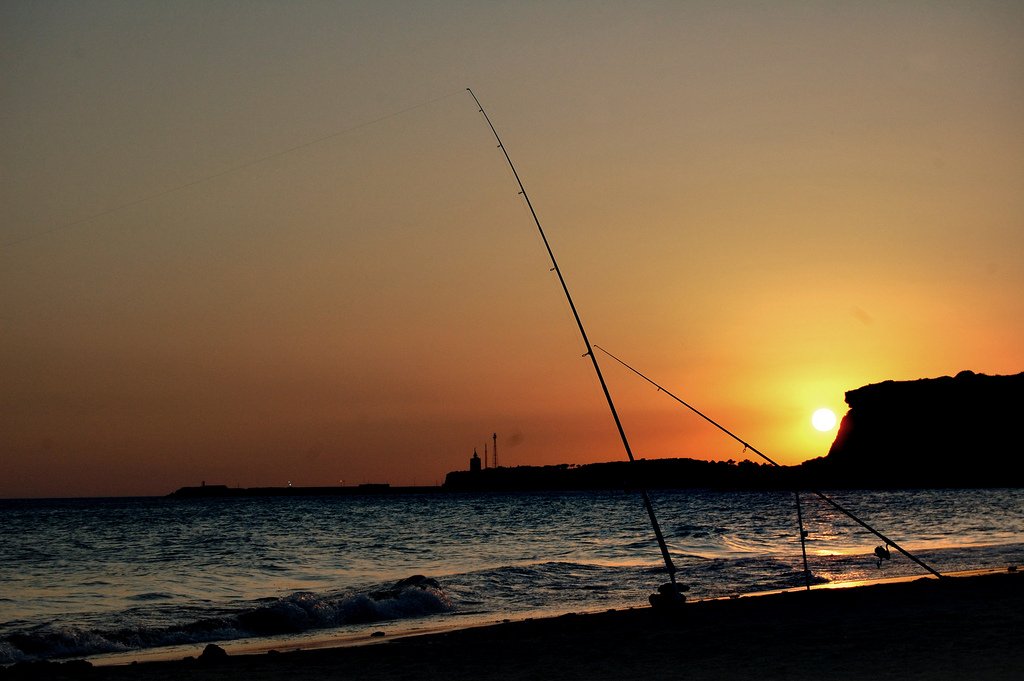 GuiaRepsol's tweet photo. ¡PAREEEN EL MUNDO! 🤚🏼🌍 ¡Nos quedamos aquí! 10 playas para flipar muy fuerte con Cádiz, como la de Fuente del Gallo. 😍 @CadizTurismo https://t.co/QowLnNSNSA https://t.co/7A03vVLtdb