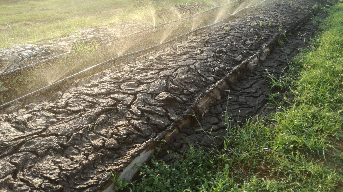 Humus_CLT's tweet photo. Anche durante queste calde settimane ci prendiamo cura al meglio del nostro impianto di #vermicompostaggio contro la calura per garantire una costante produzione di #HumusCLT . #Vermicompost #humusdilombrico #agricolturabiologica https://t.co/fYgWYDGC2Z