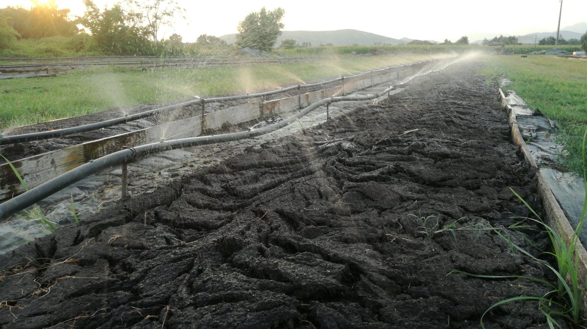 Humus_CLT's tweet photo. Anche durante queste calde settimane ci prendiamo cura al meglio del nostro impianto di #vermicompostaggio contro la calura per garantire una costante produzione di #HumusCLT . #Vermicompost #humusdilombrico #agricolturabiologica https://t.co/fYgWYDGC2Z