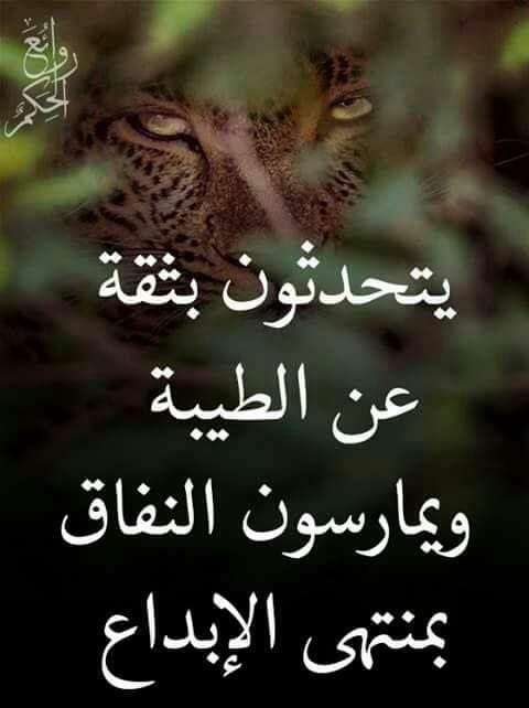 AHMED KAMAL (@ahmedemarketer) on Twitter photo 