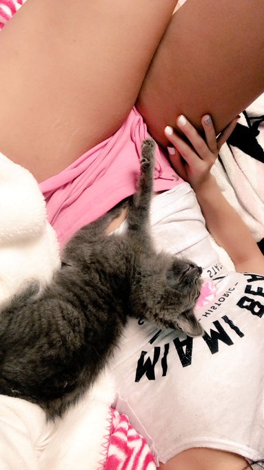 i just love my kitten💕 https://t.co/BwQJr22G8D<a href="/tag/newprofilepic"class="tags"><span>#newprofilepic</span></a>