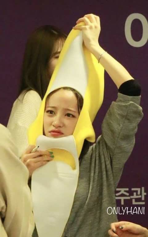 98THBA's tweet photo. AGOSTO É UM MÊS CHEIO DE ANIVERSÁRIOS E HOJE É O DIA DA MINHA SUNBAE @95THAJ! Feliz aniversário para minha ultimate idol. Espero que seu dia seja tão incrível igual tu és. THE PRETTIEST FLOWER AND BANANA IN THIS WORLD. Te amo 💕 https://t.co/AVclqGjjA1