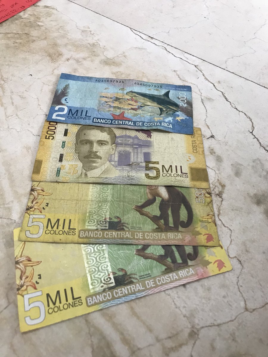 comfygrunt's tweet photo. I like how the currency looks out here. https://t.co/FErmSLysOj
