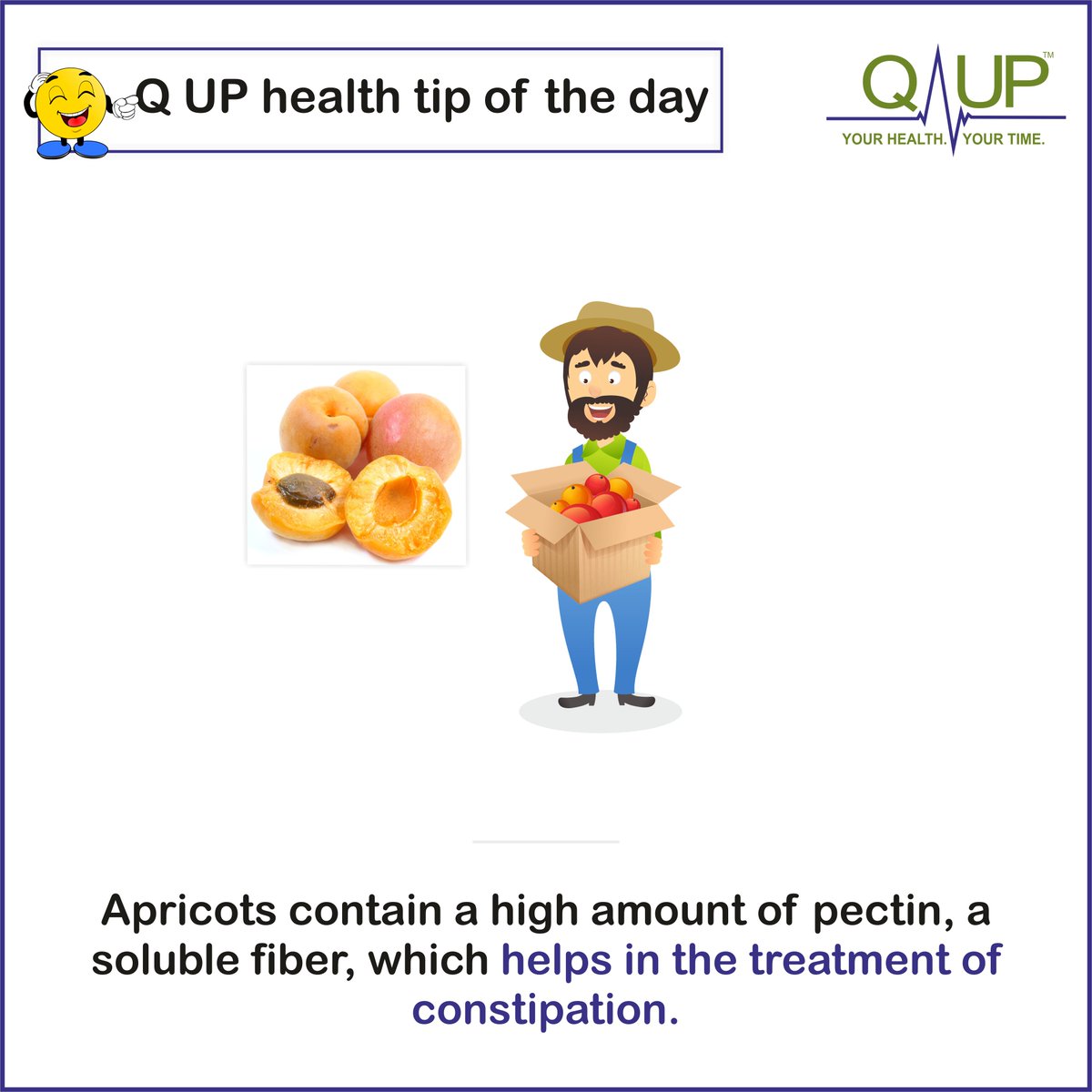 qupindia's tweet photo. Apricots contain a highest amount of pectin.
#healthcare,#healthtips,#healthypune,#healthyindia,#qup,#qupapp,#qupindia,#healthtech,#healthforall,#healthcareinpune,#goodhealth, #quphealthtipfortheday https://t.co/cdPEEc8ZNH