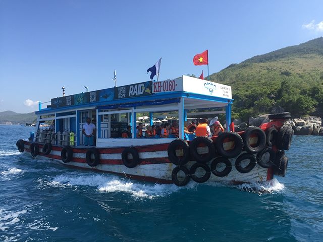 Coma and join us for our daily trips #diving #scuba #sea #underwater #scubadiving #ocean #padi #diver #underwaterphotography #diveraid #freedive #techdiving #sealife #summer #alphadivevn #adventure #scubadivingmag #nhatrang ow.ly/LwoF30lorHG