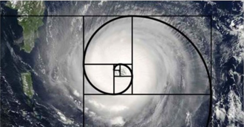 materia_ciencia's tweet image. ¿Es 'phi' el número más asombroso del mundo? La proporción áurea está en las pirámides de Egipto, en el logo de Google, en los pétalos de las rosas o en la misma forma de las galaxias. Descubre su historia y la relación con la serie de Fibonacci. bit.ly/2w7T7Td