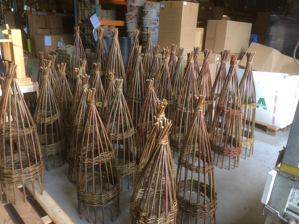 Delivered the first batch of 40 willow Obelisks to a customer in Huddersfield.
@handmadebritain #Organic #willow Certified  ‘UK5-Organic’ handmade here and a replacement for imported products. @BuyBritBrands