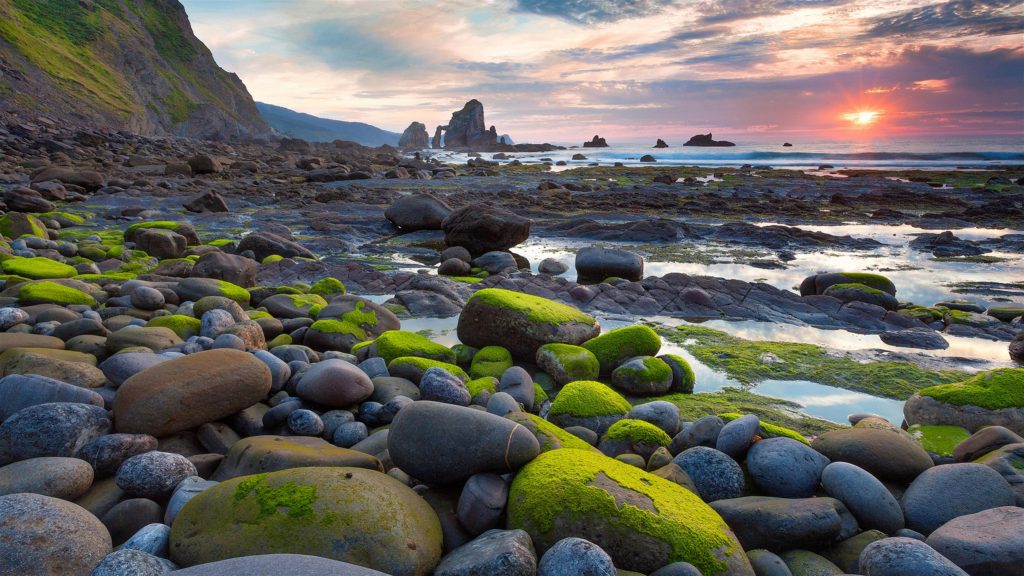 Best Wallpapers on Twitter: Best Wallpapers on Twitter: