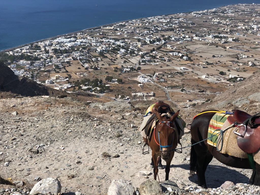 ferrero_stefano's tweet photo. Vlichada Beach - Ancient Thira 🇬🇷🏖🏛
#Santorini #Vlichada #AncientThira #ArchaeologicalSite #Cyclades #Greece https://t.co/t9PvqqZnO2