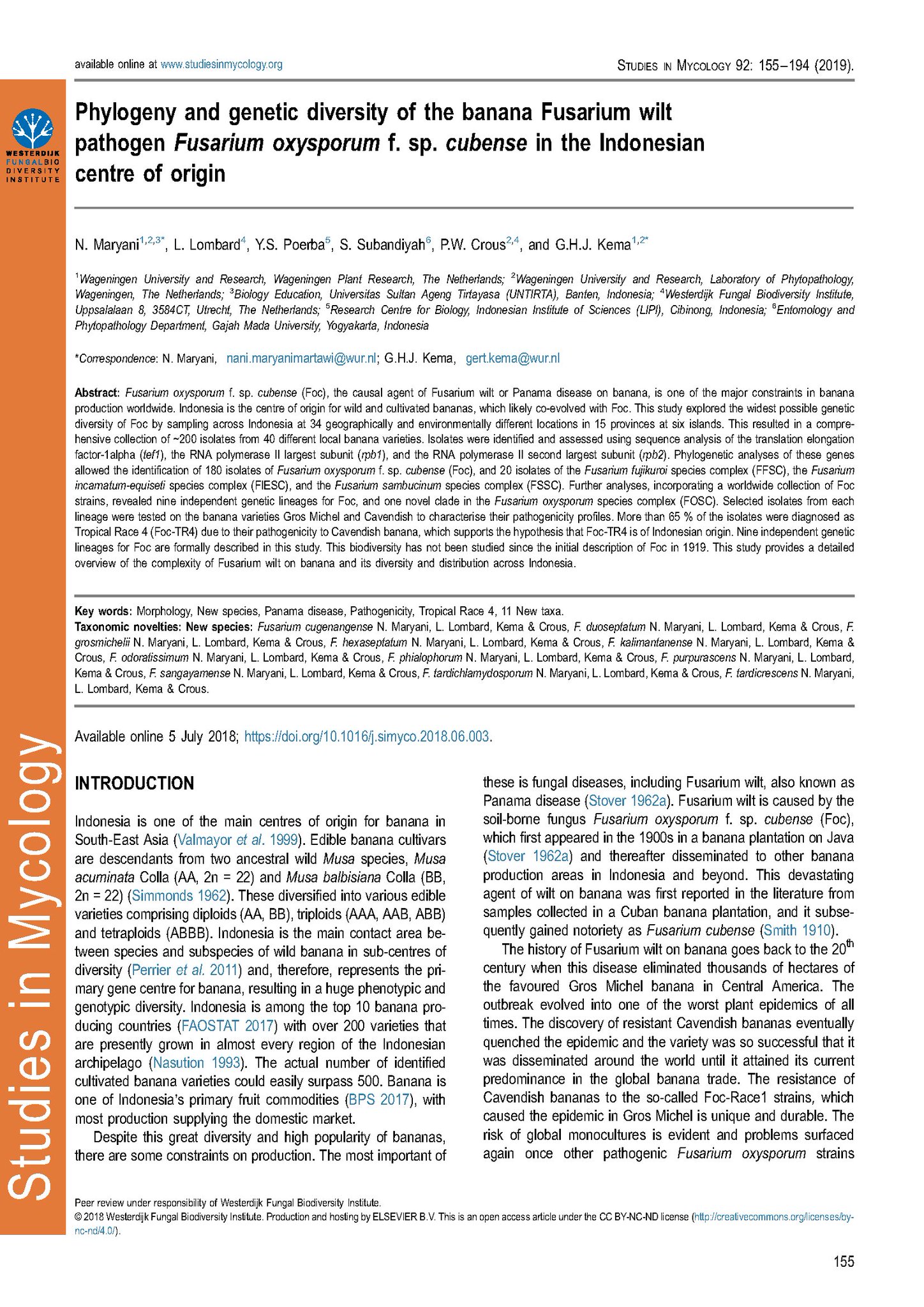 Westerdijk Institute Studies In Mycology 92 155 194 Phylogeny And Genetic Diversity Of The Banana Fusarium Wilt Pathogen Fusarium Oxysporum F Sp Cubense In The Indonesian Centre Of Origin Wur Fusarium Fusariumwilt