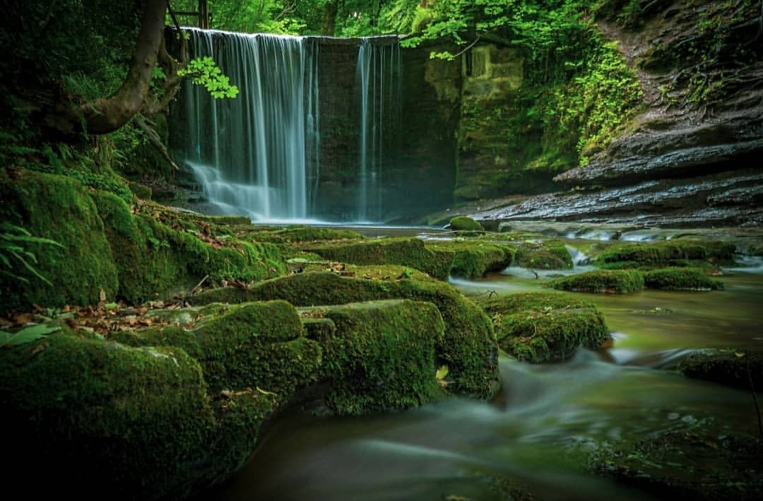 NthEastWales's tweet photo. 🌲🌳 Rhaeadr tawel yn Nant Mill | Peaceful waterfall at Nant Mill 📸 image by https://t.co/cXFNGNcocz

#FindYourEpic #NorthEastWales #Waterfall https://t.co/4ejgDyPHt3
