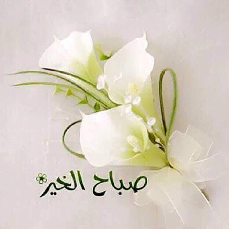 alnor00111's tweet photo. الله اكبر الله اكبر https://t.co/LxdDi0gbQG
