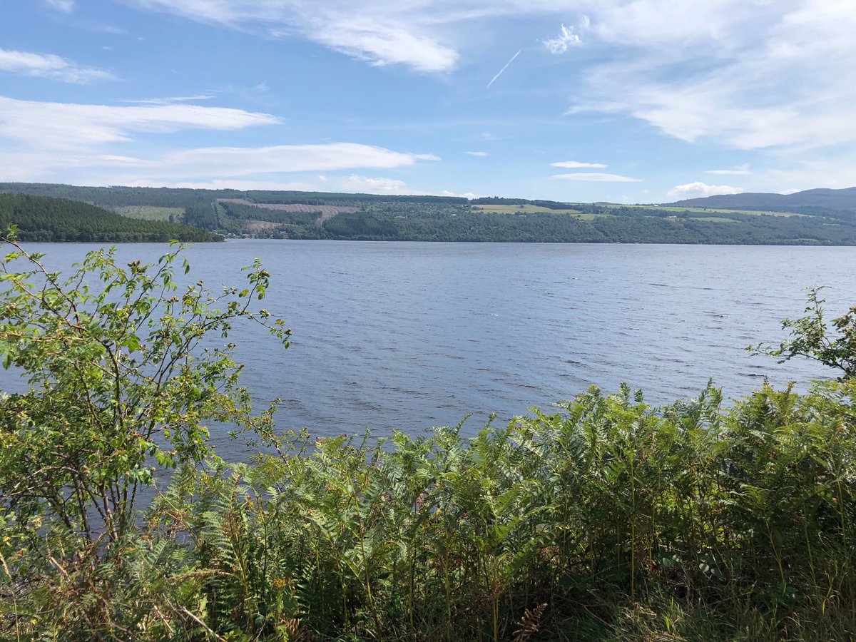 4Victoriawright's tweet image. Scotland