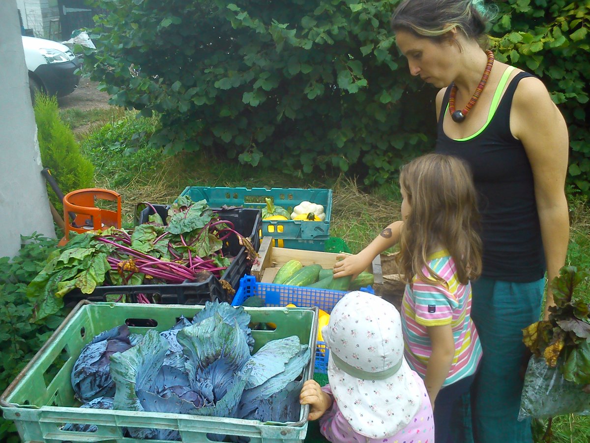 Farmin' this sat morning! Sign up here to join us in the fields docs.google.com/forms/d/e/1FAI…