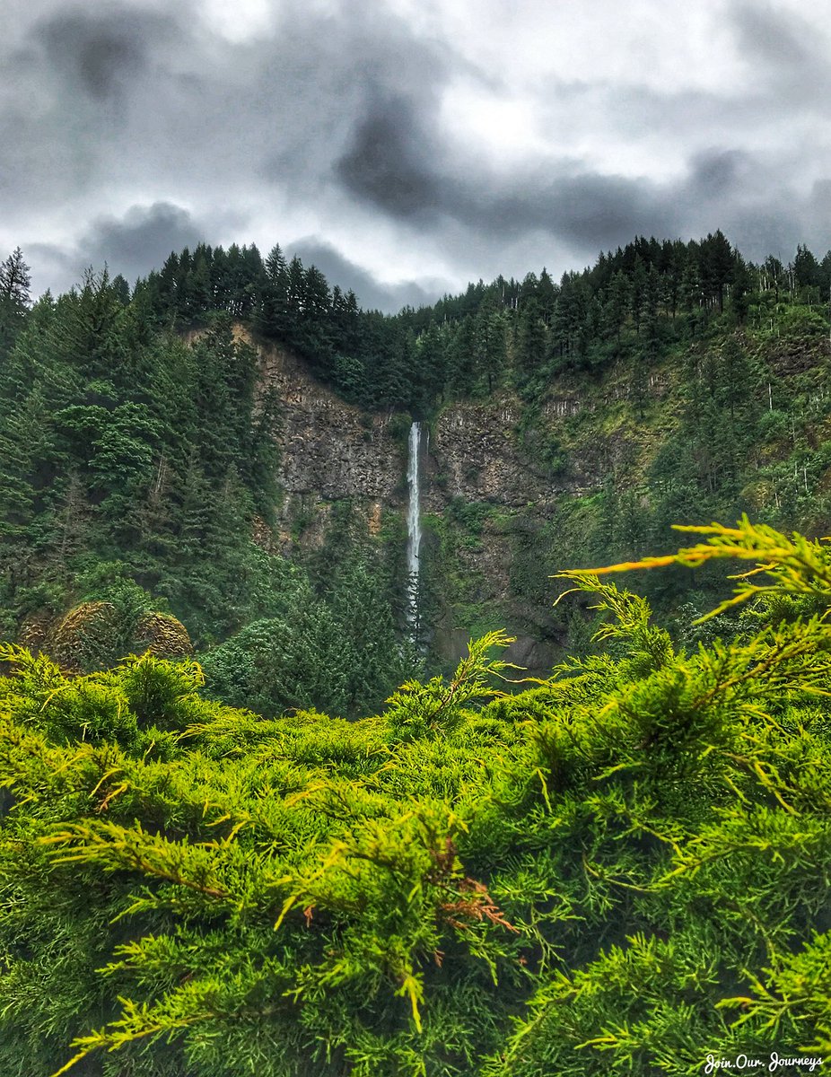 hikeatravel1's tweet photo. Get lost in nature and you will find yourself!#MultnomahFalls #Portland #Waterfalls #Wanderlust #JoinOurJourneys #Travel #ExploreTheWorld #Holiday #TravelPhotography #TravelStories #TravelBlogger #iPhone #iPhonePhotography #nature #naturelovers #naturephotography #ShotOnIphone https://t.co/f8CbD8wNGj