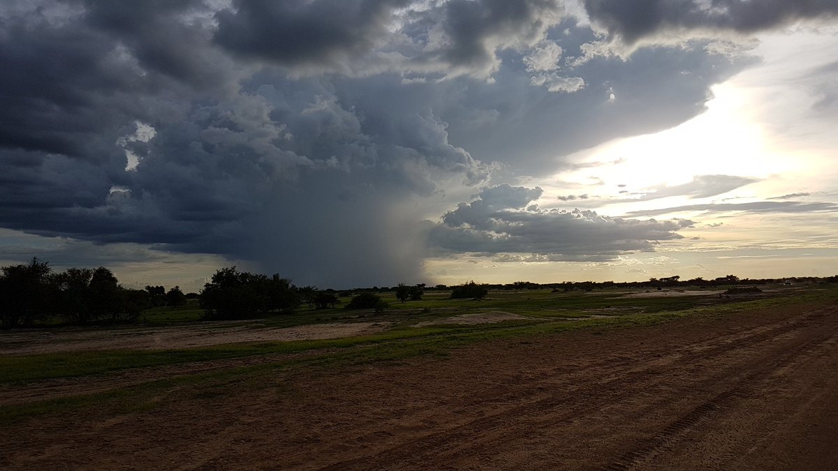 rebeunoise's tweet photo. Je voulais partager ces moments avec vous🇷🇴🤲🏾❤
#MonPaysEstMagnifique #Tchad https://t.co/vzK0DRsHX0