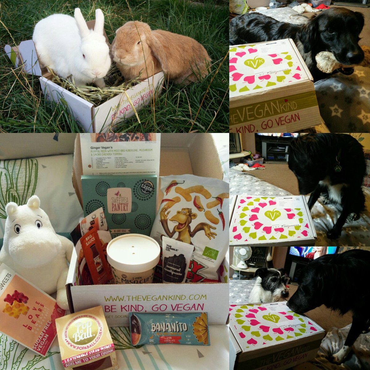 Everyone's favourite monthly delivery! Paws off the sweets Moomin!! @thevegankind #TVKLifestylebox @cheekymonkeypb @freefromitaly @SweetpeaPantry @mightybeelondon @Popaball @TidefordOrganic @thejealouslife @HumbleBrush @doctor_wills