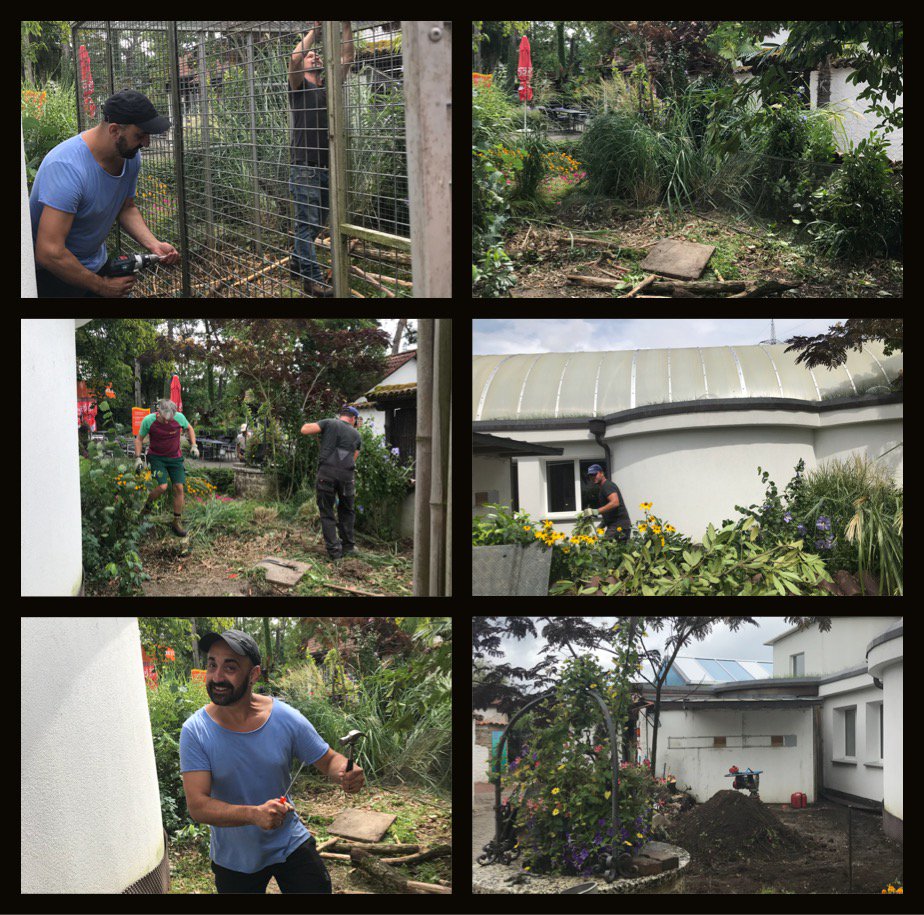 Es ist soweit!
Unsere Papageien Chantal und Pedro erhalten ein neues grösseres Gehege.
Die Umbauarbeiten haben begonnen... Fortsetzung folgt...