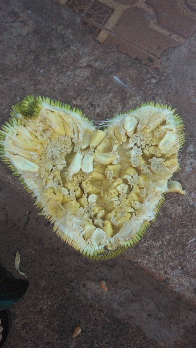 uelsonreal's tweet image. Meu coração falta uma peça...😍😍🖐🏻