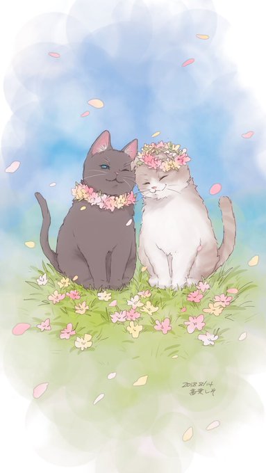 「黒猫 野外」のTwitter画像/イラスト(古い順)