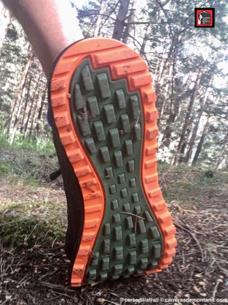 zapatillas rodadoras