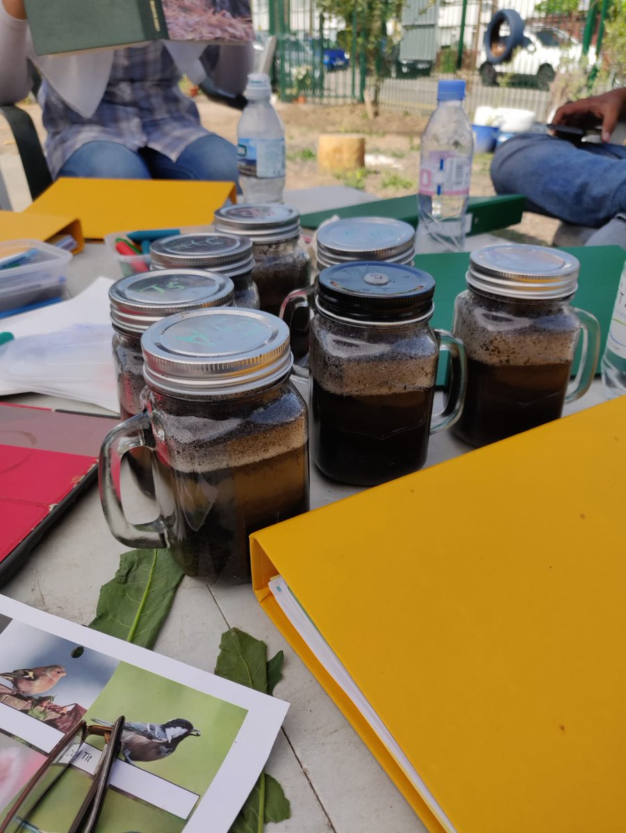 SufraNWLondon's tweet image. Week two of Summer Academy. Our students have been doing a wide range of activities. Last week there was a mix of cooking, creative activities and picking there own veg from St Rapahel’s Edible Garden. They also had a great day out at Kew Gardens! #SummerAcademy  #LearningGrowing