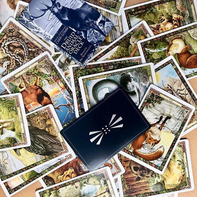 EddisonBooks's tweet image. The Druid Animal Oracle by Philip and Stephanie Carr-Gomm
Does a card jump out at you?
.
.
#druidanimal #druidanimaloracle #druidcraft #druid #philipcarrgomm #stephaniecarrgomm #druidoracle #druidry #moderndruid @philipcarrgomm
#tarot  #tarotcommunity #t… ift.tt/2w6zM56