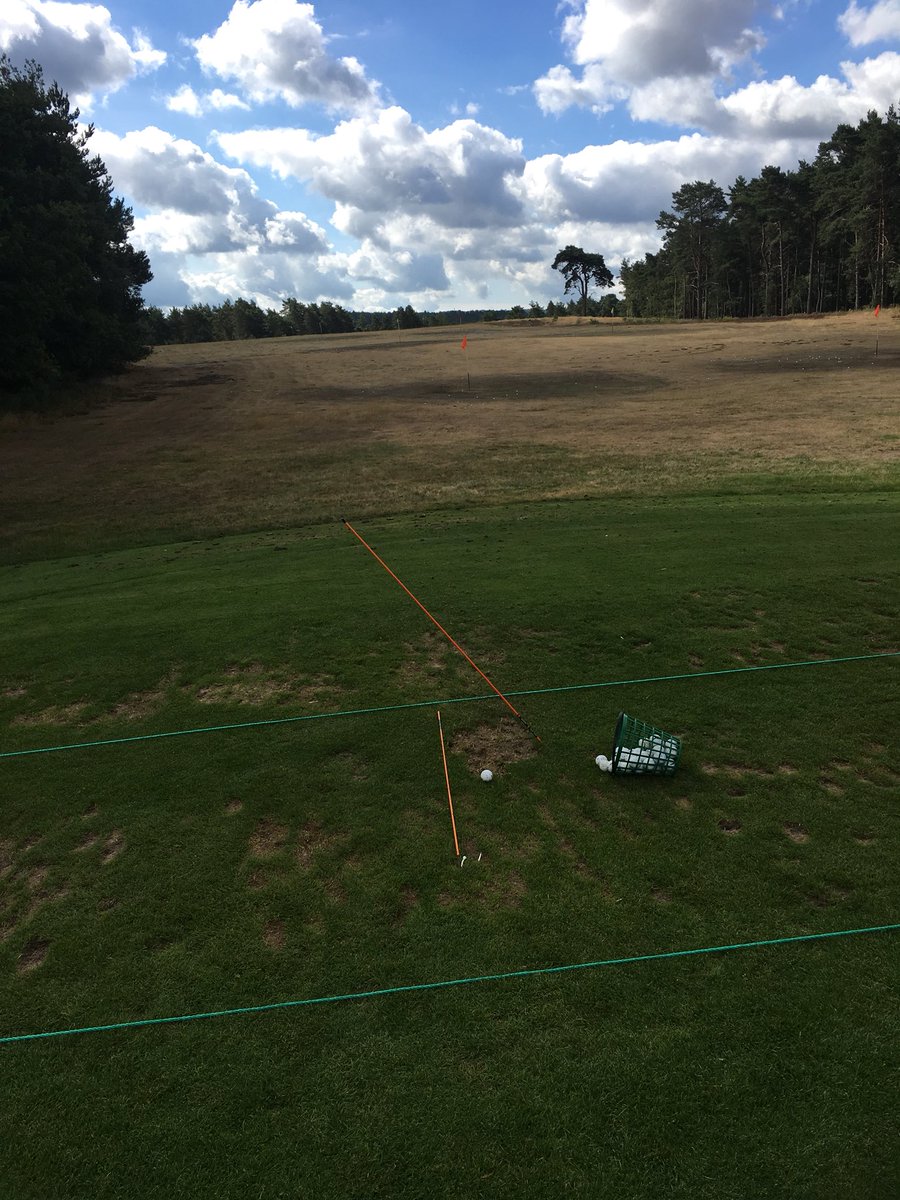 Kane Gilder Coaching tweet media