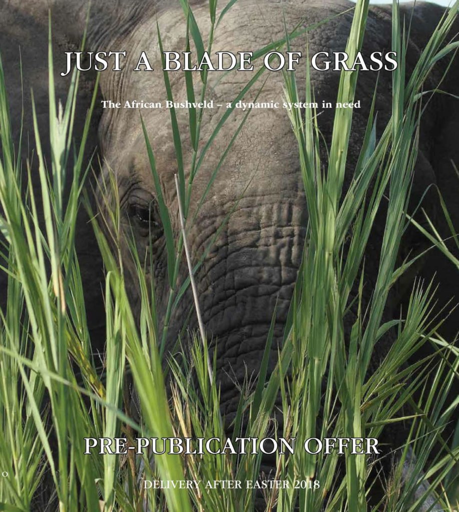 Paddy Hagelthorn (PHagelthornZA) Twitter