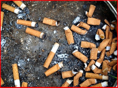 Si el dueño de un perro tiene que recoger sus 💩💩.
¿Por qué el fumador no tiene que recoger las suyas?

#PreguntaSeria #NoMasColillas #CuidemosElMedioAmbiente