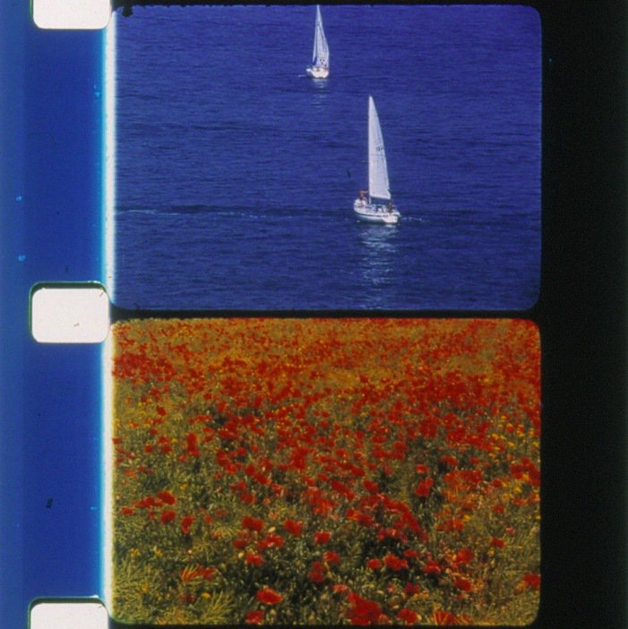 LUXmovingimage's tweet photo. Check out https://t.co/qltuudKipk to find out about LUX events in September w/ #RoseLowder #AnaVaz, #SHELLLIKE @Dankidner
More to be announced soon ! https://t.co/vFlBvmWxnK