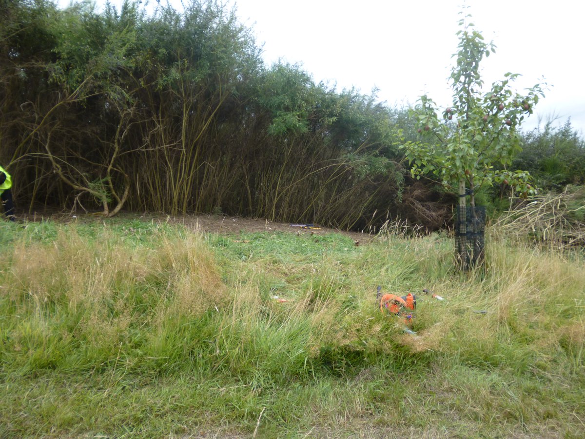 🌦️🍏🌳🍎Nearly that time of year - apple picking and pressing in the Clyde Valley orchards. Hoping for a good crop with this amazing summer we have had! Join us along with Clyde Valley Orchards Co-operative with dates and orchard details to follow.