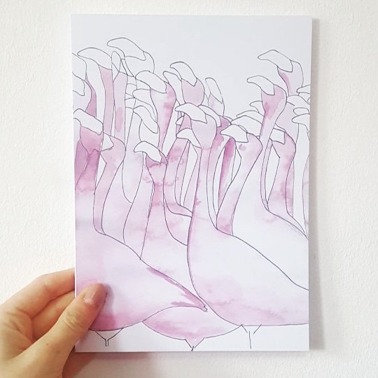 One of my favourite designs to make. Available as a print (A5, A4, A3) or as a funky #greetingcard for your friend's. Link is in bio or message me. #flamingo #flamingoprint #funkyflamingo #pinkflamingo #watercolourpainting #pippaandpaperdesigns #flockofflamingos #dancingflamingos