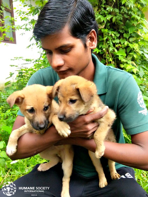 KeralaFloods Rage On, People Work Overtime, Rescue Animals! - The Better  India