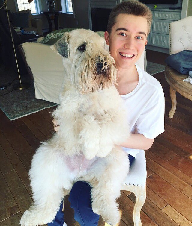 Real life teddy bear 🐻