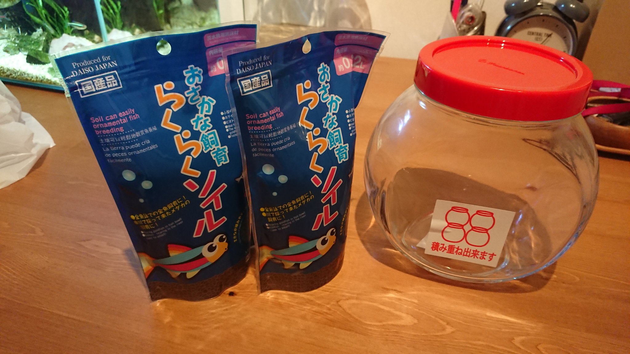 まんどリウム 全て100均にあったものでボトルアクアリウムを組んでみようと思う T Co 0rhlnwq2xu Twitter