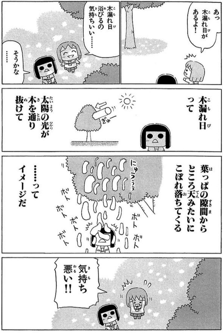 木漏れ日 