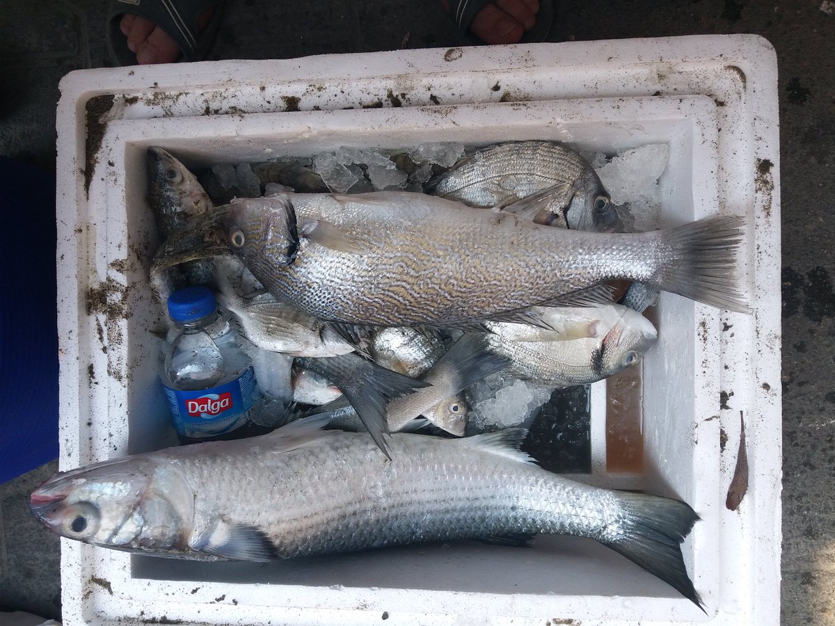 BARAN ATEŞ (@010_baran) on Twitter photo 