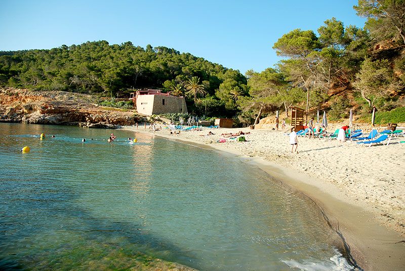Cala Salada, una de las playas más atractivas de la costa de Sant Antoni. Está envuelta de acantilados y pinos que descienden hasta el mar #Ibiza buff.ly/2jqrbnC