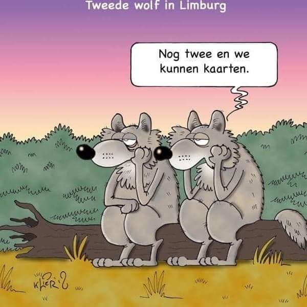 bartt52's tweet image. 